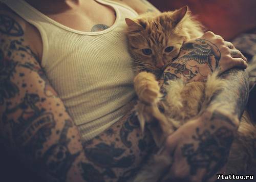 Парень с татуировками на руках держит рыжего кота