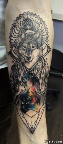 Эзотерический волк на руке парня