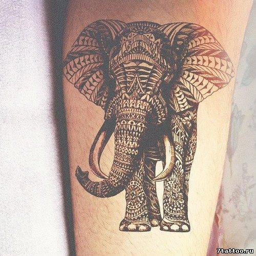 тату-дотворк Индийский слон на руке парня