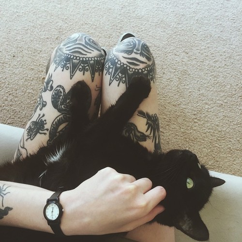 Ноги в татировках и черная кошка на коленях