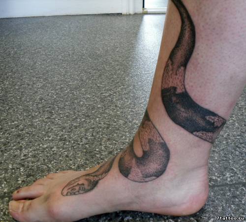 татуировка Змея вокруг ноги парня