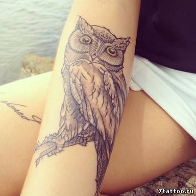 татуировка Сова на руке девушки