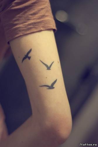 Татуировка Летящие птицы на руке