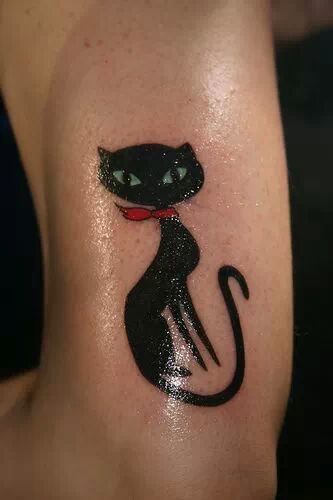 Черная кошка с голубыми глазами на руке