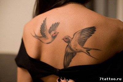 татуировка Пара ласточек на спине девушки