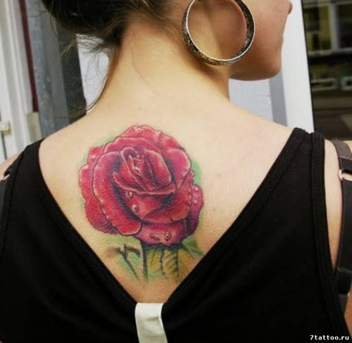 Татуировка Роза на спине девушки