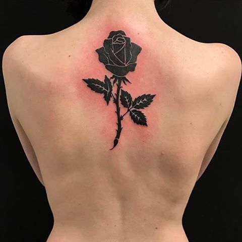Роза посередине спины